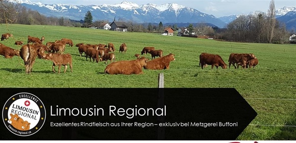 Excellentes und exklusives Rindfleisch aus der Region